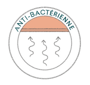 Icone anti-bactérienne